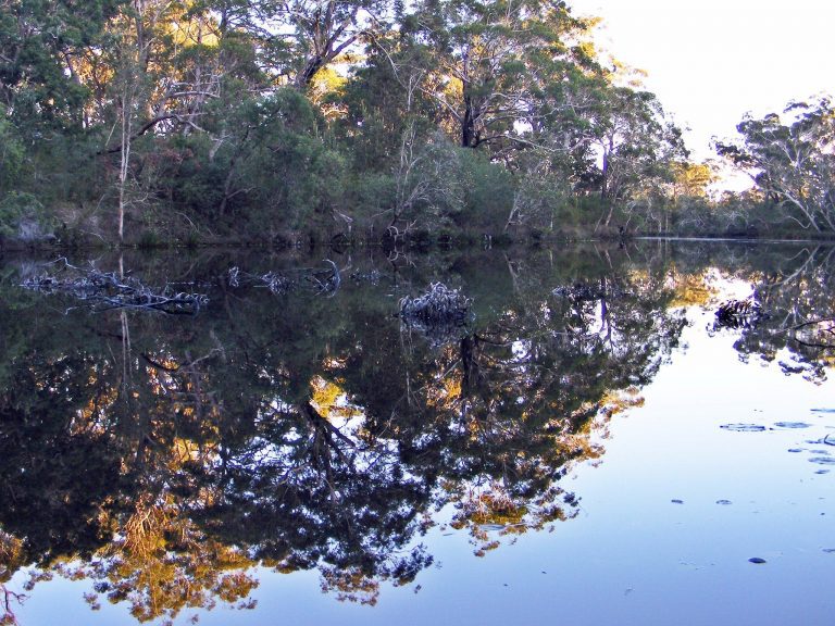 Reflections Esk River