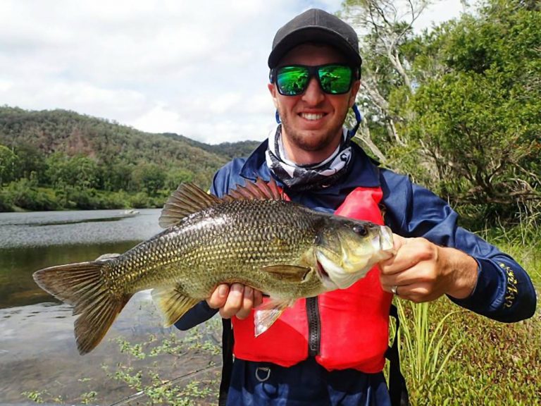 A healthy Nymboida Bass caught with Wild Water Tours