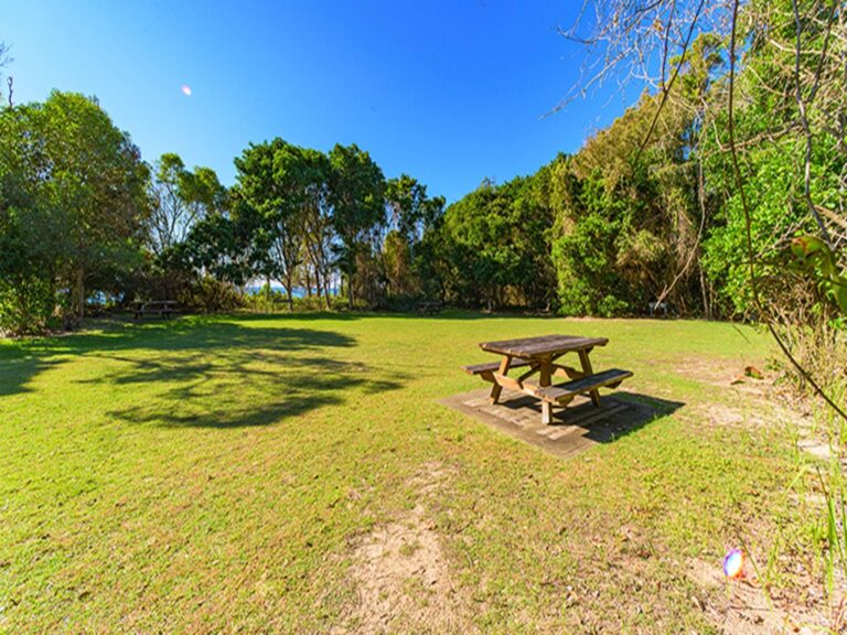 Picnic area showing flat site covered with grass and surrounded by coastal forest. Photo: Jessica