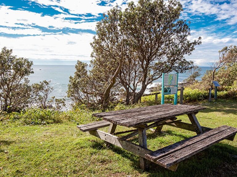 A picnic table overlooking the ocean at Boorkoom campground in Yuraygir National Park. Photo: Robert
