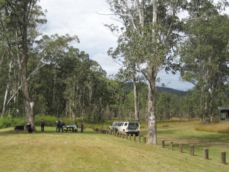 Campers arrive at Doon Goonge campground, Chaelundi National Park. Photo: A Harber/NSW Government