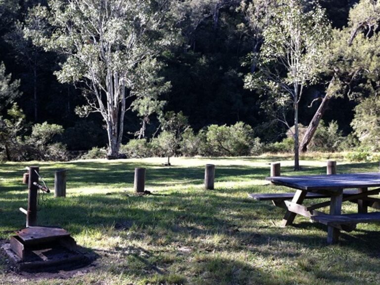 Picnic table in Doon Goonge campground, Chaelundi National Park. Photo: Andrew Pitzen/OEH