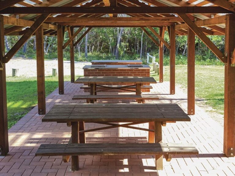 Picnic tables, Illaroo Group camping area, Yuraygir National Park. Photo: R Cleary Seen
