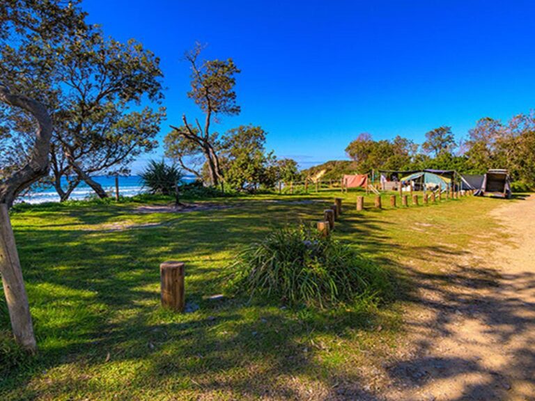 Campsites with tents in the distance surrounded by trees at Illaroo campground in Yuraygir National