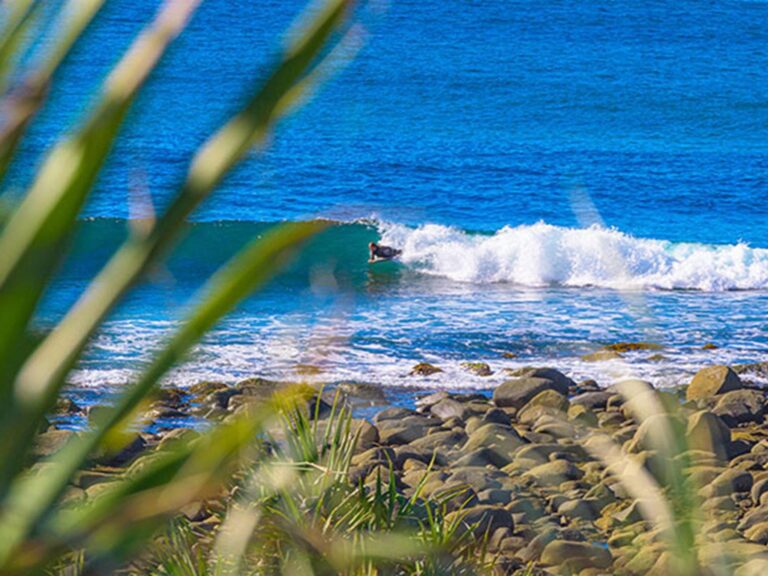 A surfer riding the waves at the beach near Angourie Bay picnic area in Yuraygir National Park.
