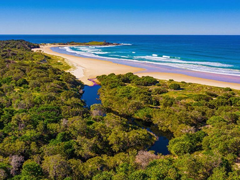 An aerial view of Angourie Bay picnic area, surrounding bushland and beach in Yuraygir National Park