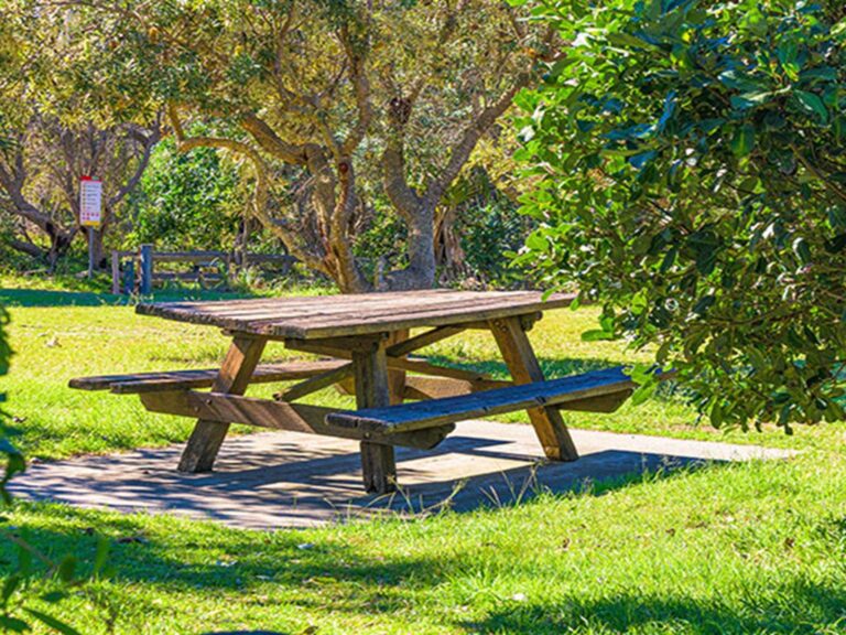 A picnic table in Angourie Bay picnic area in Yuraygir National Park. Photo: Jessica Robertson