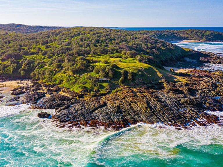 An aerial view of Wilsons Headland picnic area in Yuraygir National Park. Photo: Jessica Robertson