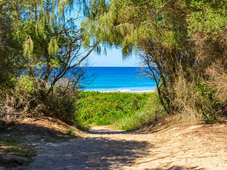 Sandy path leading through coastal vegetation from the picnic area to Back Beach. Photo: Jessica