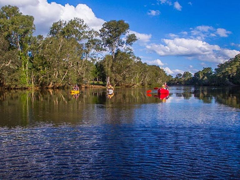 Kayaking down the tree-lined Sportsmans Creek in Everlasting Swamp National Park. Photo: Jessica