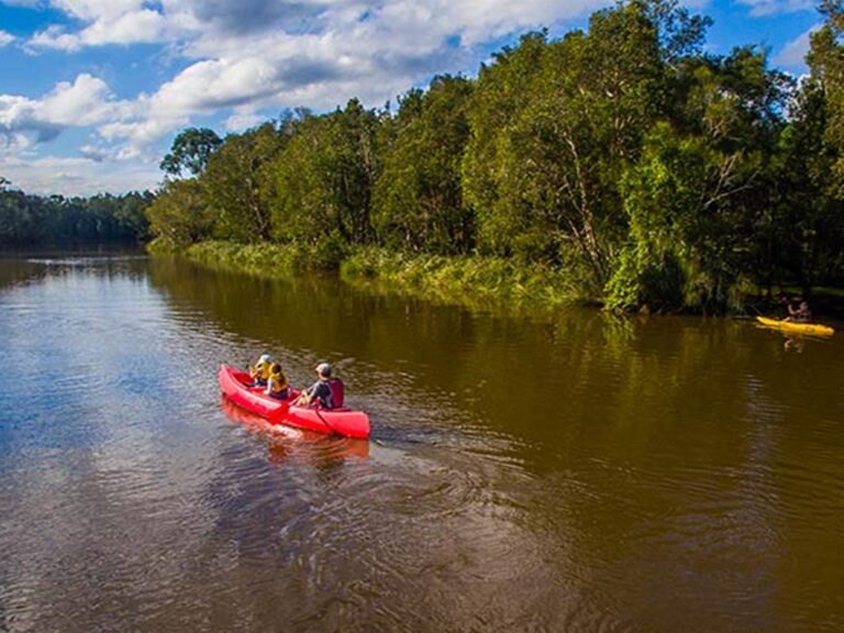 Family canoeing in Everlasting Swamp National Park. Photo: Jessica Robertson/OEH